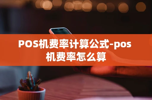 重庆POS机费率计算公式-pos 机费率怎么算-第1张图片-点点富足 重庆POS机费率计算公式-pos 机费率怎么算-第1张图片-点点富足
