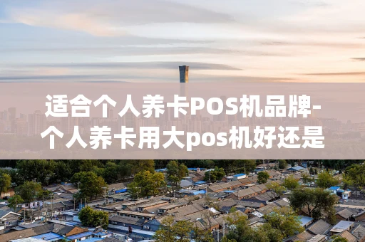 重庆适合个人养卡POS机品牌-个人养卡用大pos机好还是小pos机好-第1张图片-点点富足 重庆适合个人养卡POS机品牌-个人养卡用大pos机好还是小pos机好-第1张图片-点点富足