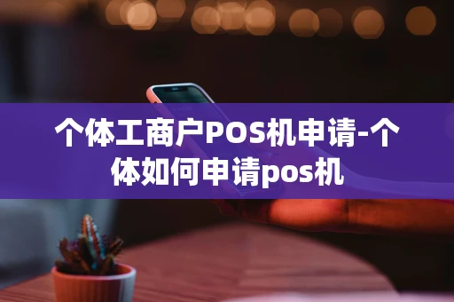 重庆个体工商户POS机申请-个体如何申请pos机-第1张图片-点点富足