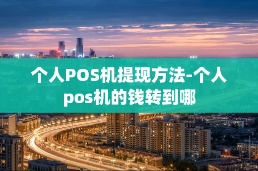 重庆个人POS机提现方法-个人pos机的钱转到哪-第1张图片-点点富足 重庆个人POS机提现方法-个人pos机的钱转到哪-第1张图片-点点富足
