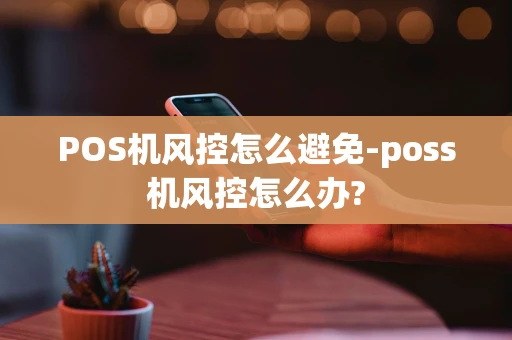 重庆POS机风控怎么避免-poss机风控怎么办?-第1张图片-点点富足