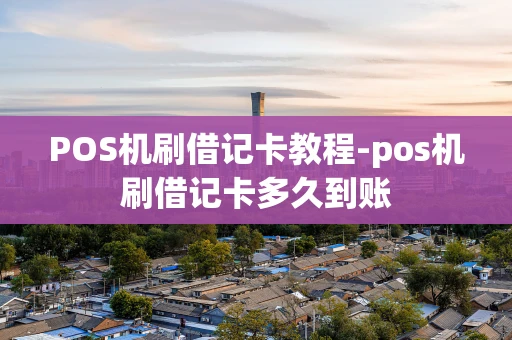 重庆POS机刷借记卡教程-pos机刷借记卡多久到账-第1张图片-点点富足