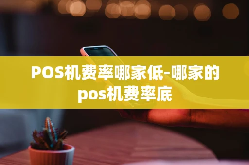 重庆POS机费率哪家低-哪家的pos机费率底-第1张图片-点点富足