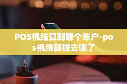 重庆POS机结算到哪个账户-pos机结算钱去哪了-第1张图片-点点富足 重庆POS机结算到哪个账户-pos机结算钱去哪了-第1张图片-点点富足