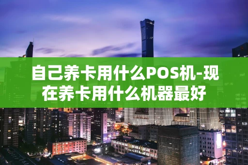 重庆自己养卡用什么POS机-现在养卡用什么机器最好-第1张图片-点点富足 重庆自己养卡用什么POS机-现在养卡用什么机器最好-第1张图片-点点富足