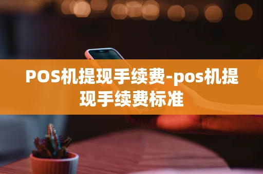 重庆POS机提现手续费-pos机提现手续费标准-第1张图片-点点富足