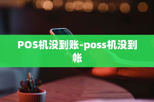 重庆POS机没到账-poss机没到帐-第1张图片-点点富足 重庆POS机没到账-poss机没到帐-第1张图片-点点富足