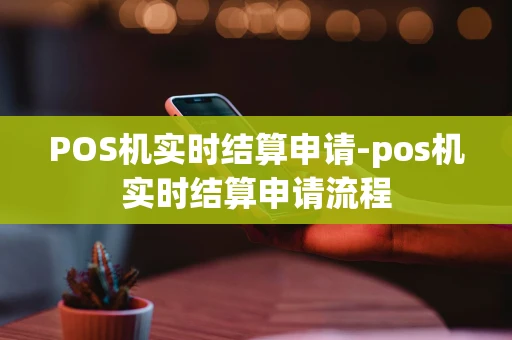 重庆POS机实时结算申请-pos机实时结算申请流程-第1张图片-点点富足