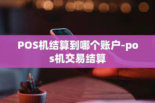重庆POS机结算到哪个账户-pos机交易结算-第1张图片-点点富足 重庆POS机结算到哪个账户-pos机交易结算-第1张图片-点点富足