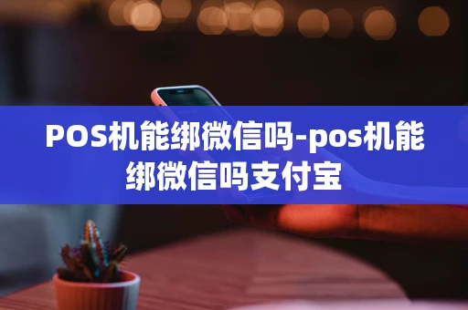 重庆POS机能绑微信吗-pos机能绑微信吗支付宝-第1张图片-点点富足