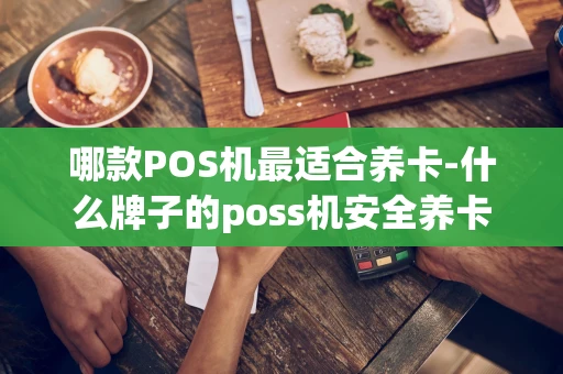重庆哪款POS机最适合养卡-什么牌子的poss机安全养卡-第1张图片-点点富足
