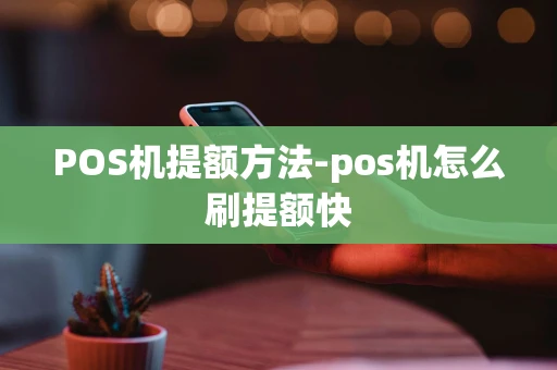 重庆POS机提额方法-pos机怎么刷提额快-第1张图片-点点富足