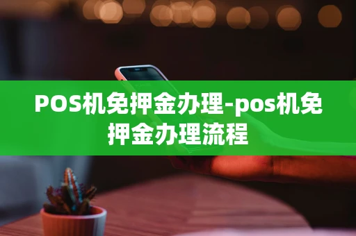 重庆POS机免押金办理-pos机免押金办理流程-第1张图片-点点富足