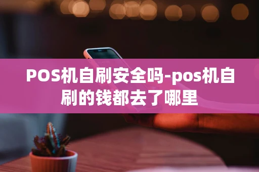 重庆POS机自刷安全吗-pos机自刷的钱都去了哪里-第1张图片-点点富足