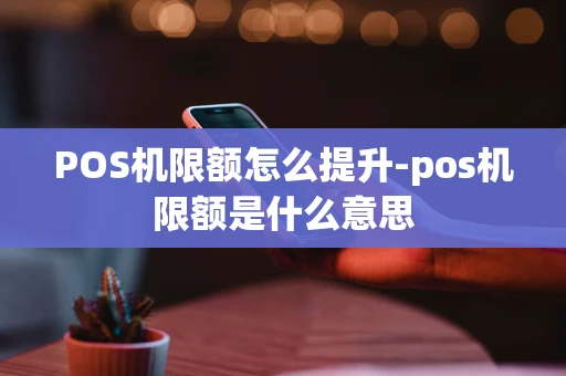 重庆POS机限额怎么提升-pos机限额是什么意思-第1张图片-点点富足 重庆POS机限额怎么提升-pos机限额是什么意思-第1张图片-点点富足