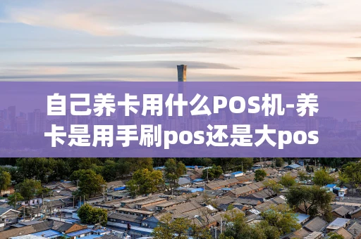 重庆自己养卡用什么POS机-养卡是用手刷pos还是大pos-第1张图片-点点富足