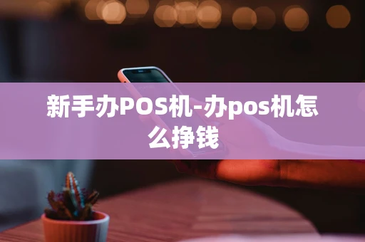 重庆新手办POS机-办pos机怎么挣钱-第1张图片-点点富足 重庆新手办POS机-办pos机怎么挣钱-第1张图片-点点富足