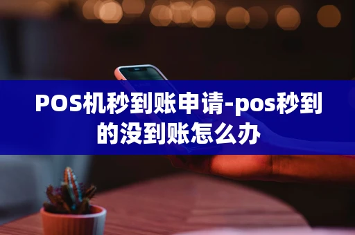 重庆POS机秒到账申请-pos秒到的没到账怎么办-第1张图片-点点富足 重庆POS机秒到账申请-pos秒到的没到账怎么办-第1张图片-点点富足