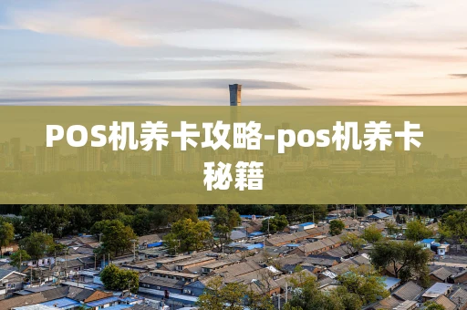 重庆POS机养卡攻略-pos机养卡秘籍-第1张图片-点点富足