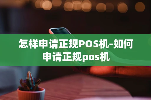 重庆怎样申请正规POS机-如何申请正规pos机-第1张图片-点点富足