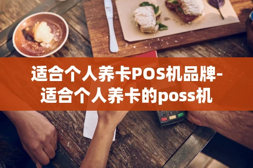 重庆适合个人养卡POS机品牌-适合个人养卡的poss机-第1张图片-点点富足