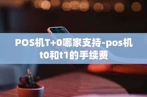 重庆POS机T+0哪家支持-pos机t0和t1的手续费-第1张图片-点点富足 重庆POS机T+0哪家支持-pos机t0和t1的手续费-第1张图片-点点富足