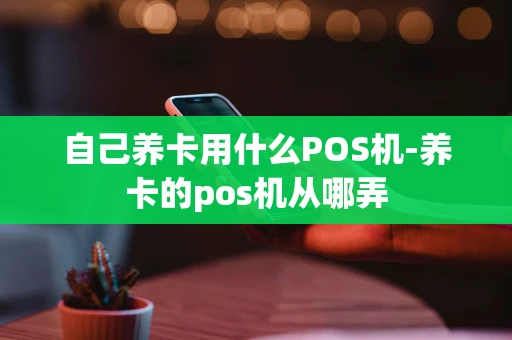 重庆自己养卡用什么POS机-养卡的pos机从哪弄-第1张图片-点点富足