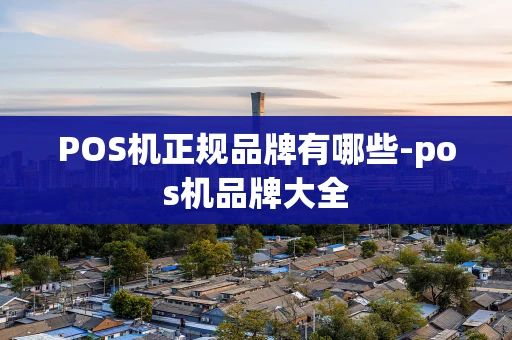 重庆POS机正规品牌有哪些-pos机品牌大全-第1张图片-点点富足
