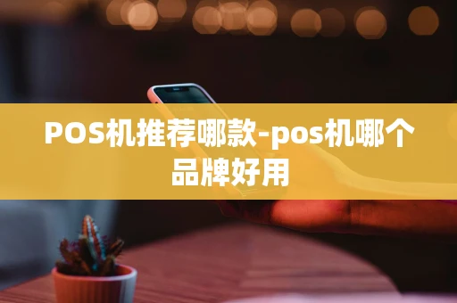 重庆POS机推荐哪款-pos机哪个品牌好用-第1张图片-点点富足 重庆POS机推荐哪款-pos机哪个品牌好用-第1张图片-点点富足