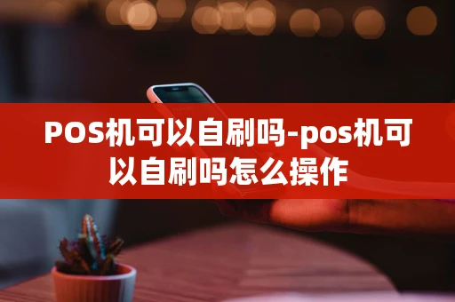 重庆POS机可以自刷吗-pos机可以自刷吗怎么操作-第1张图片-点点富足