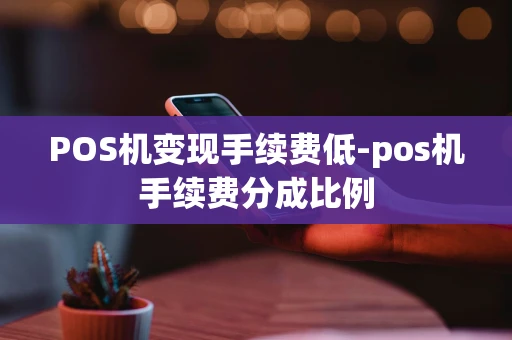 重庆POS机变现手续费低-pos机手续费分成比例-第1张图片-点点富足