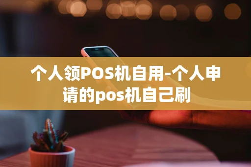 重庆个人领POS机自用-个人申请的pos机自己刷-第1张图片-点点富足 重庆个人领POS机自用-个人申请的pos机自己刷-第1张图片-点点富足