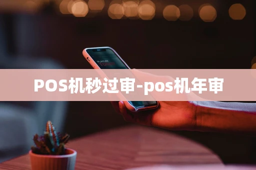 重庆POS机秒过审-pos机年审-第1张图片-点点富足