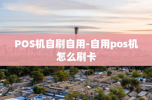 重庆POS机自刷自用-自用pos机怎么刷卡-第1张图片-点点富足