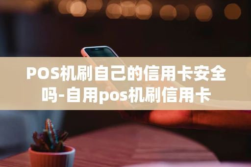 重庆POS机刷自己的信用卡安全吗-自用pos机刷信用卡-第1张图片-点点富足 重庆POS机刷自己的信用卡安全吗-自用pos机刷信用卡-第1张图片-点点富足
