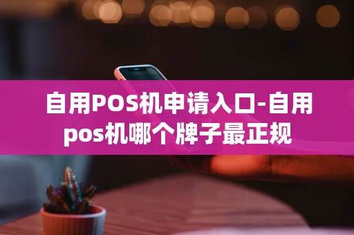 重庆自用POS机申请入口-自用pos机哪个牌子最正规-第1张图片-点点富足
