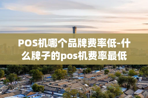 重庆POS机哪个品牌费率低-什么牌子的pos机费率最低-第1张图片-点点富足