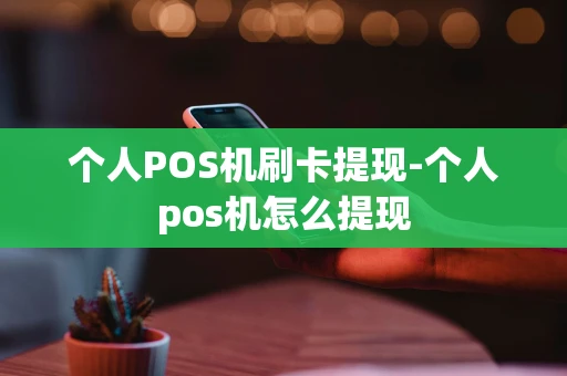 重庆个人POS机刷卡提现-个人pos机怎么提现-第1张图片-点点富足