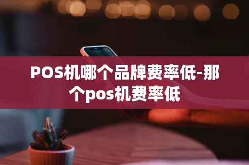 重庆POS机哪个品牌费率低-那个pos机费率低-第1张图片-点点富足 重庆POS机哪个品牌费率低-那个pos机费率低-第1张图片-点点富足