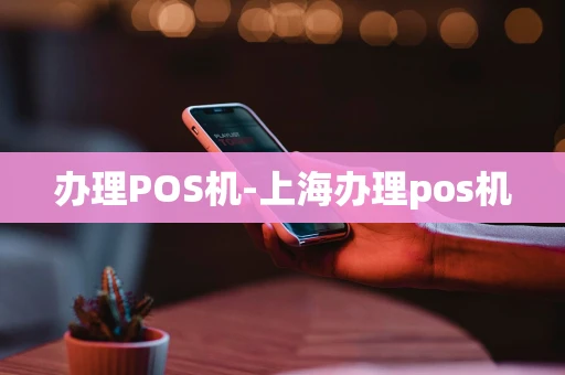 重庆办理POS机-上海办理pos机-第1张图片-点点富足