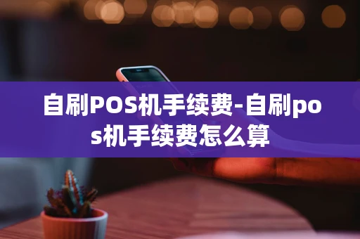 重庆自刷POS机手续费-自刷pos机手续费怎么算-第1张图片-点点富足 重庆自刷POS机手续费-自刷pos机手续费怎么算-第1张图片-点点富足