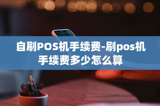 重庆自刷POS机手续费-刷pos机手续费多少怎么算-第1张图片-点点富足