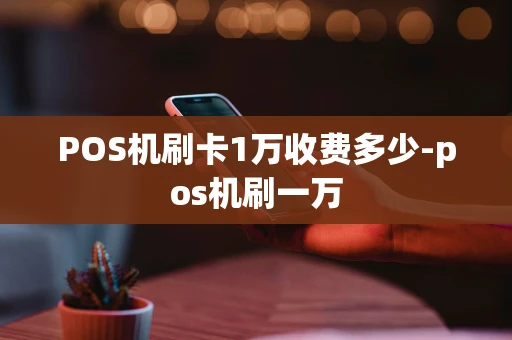 重庆POS机刷卡1万收费多少-pos机刷一万-第1张图片-点点富足