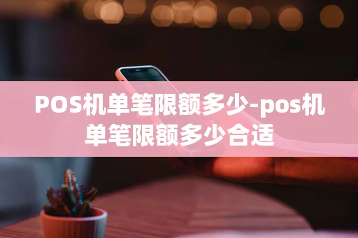 重庆POS机单笔限额多少-pos机单笔限额多少合适-第1张图片-点点富足 重庆POS机单笔限额多少-pos机单笔限额多少合适-第1张图片-点点富足