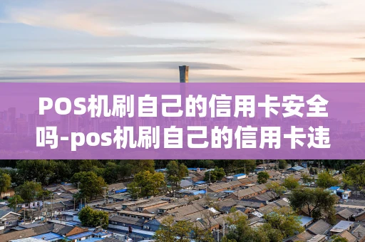 重庆POS机刷自己的信用卡安全吗-pos机刷自己的信用卡违法吗-第1张图片-点点富足 重庆POS机刷自己的信用卡安全吗-pos机刷自己的信用卡违法吗-第1张图片-点点富足