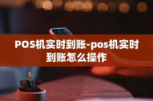 重庆POS机实时到账-pos机实时到账怎么操作-第1张图片-点点富足