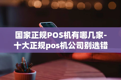 重庆国家正规POS机有哪几家-十大正规pos机公司别选错了-第1张图片-点点富足
