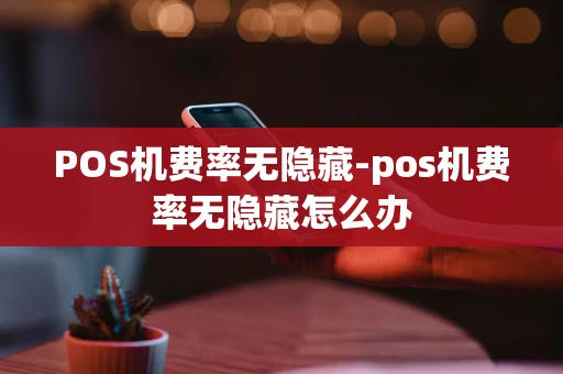 重庆POS机费率无隐藏-pos机费率无隐藏怎么办-第1张图片-点点富足 重庆POS机费率无隐藏-pos机费率无隐藏怎么办-第1张图片-点点富足