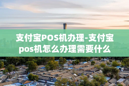 重庆支付宝POS机办理-支付宝pos机怎么办理需要什么-第1张图片-点点富足