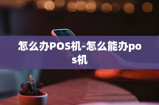 重庆怎么办POS机-怎么能办pos机-第1张图片-点点富足 重庆怎么办POS机-怎么能办pos机-第1张图片-点点富足